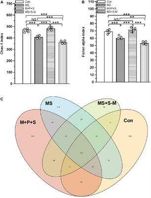 Lactobacillus paracasei Supplementation Prevents Early Life Stress-Induced Anxiety and Depressive-Like Behavior in Maternal Separation Model-Possible Involvement of Microbiota-Gut-Brain Axis in Differential Regulation of MicroRNA124a/132 and Glutamate Receptors